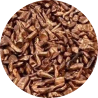 Cuivre
